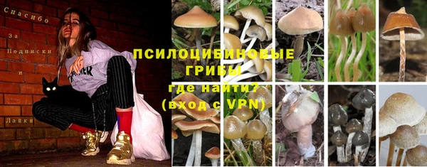 кокаин колумбия Бородино