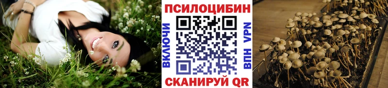 мега сайт  Железногорск-Илимский  Псилоцибиновые грибы MAGIC MUSHROOMS 